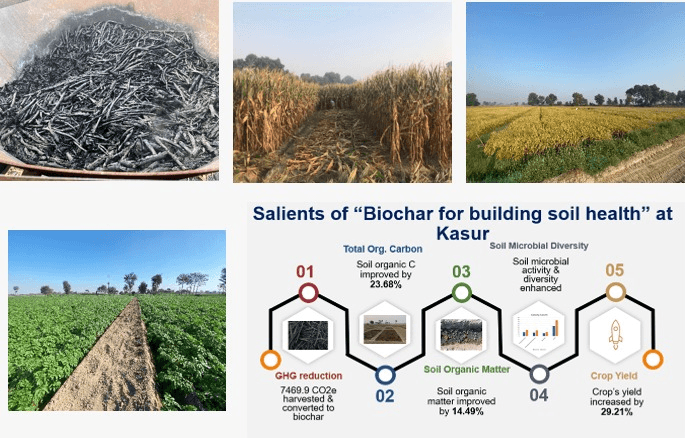 Biochar for Building Soil Health